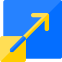 Dynamic Website Designing Delhi